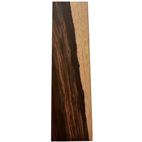 Brazilian Rosewood Fingerboard A4 | Acoustic Guitar