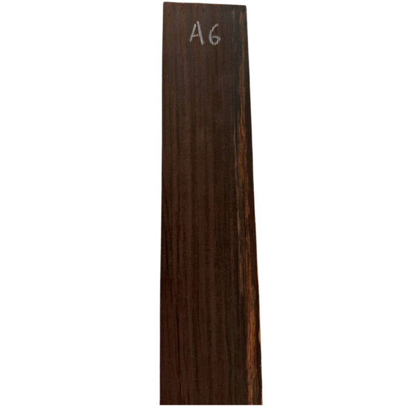 Brazilian Rosewood Fingerboard A6 | Acoustic Guitar