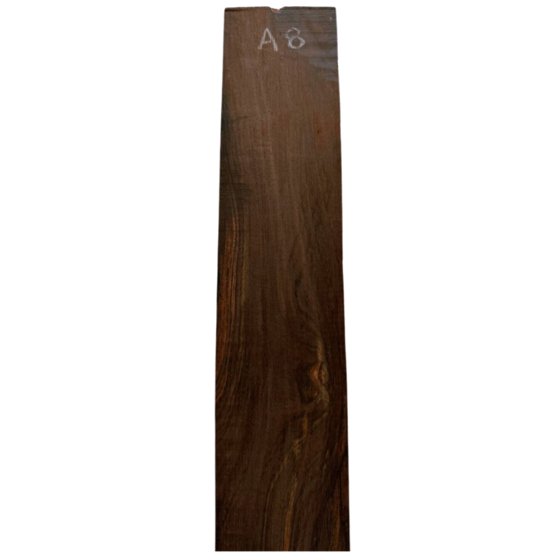 Brazilian Rosewood Fingerboard A8 | Acoustic Guitar
