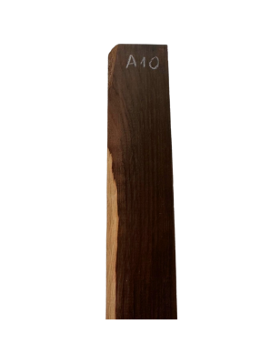 Brazilian Rosewood Fingerboard A10 | Acoustic Guitar