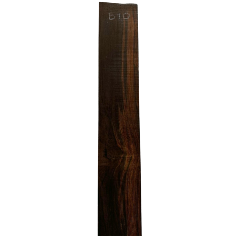 Brazilian Rosewood Fingerboard B10 | Long Scale Bass Guitar